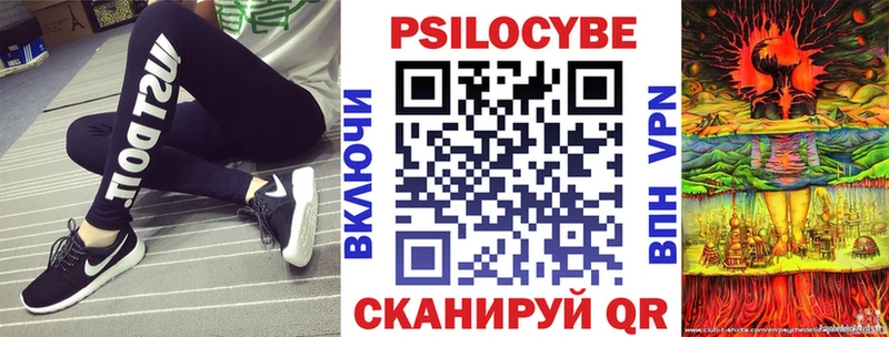 Галлюциногенные грибы Psilocybe  Олёкминск 